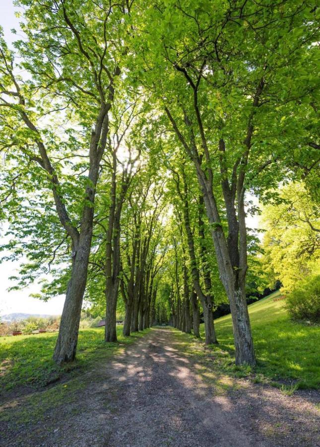 Urlaub In Schlossnaehe Artstetten エクステリア 写真